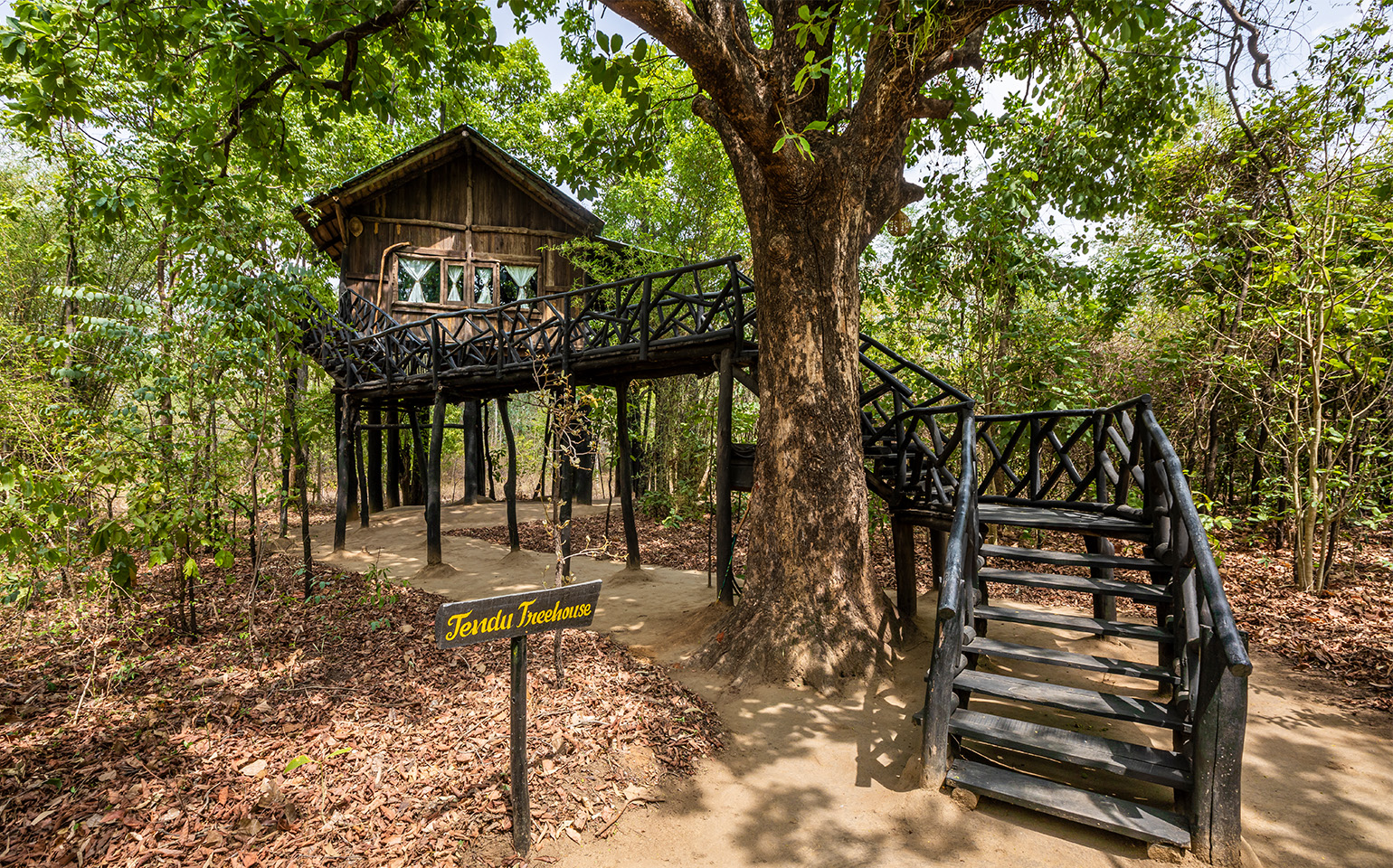 Treehouse Resort in Bandhavgarh